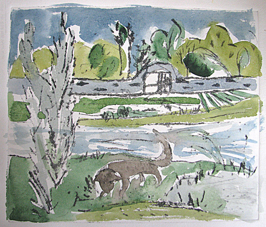 "Elbwiesen - Dresden"