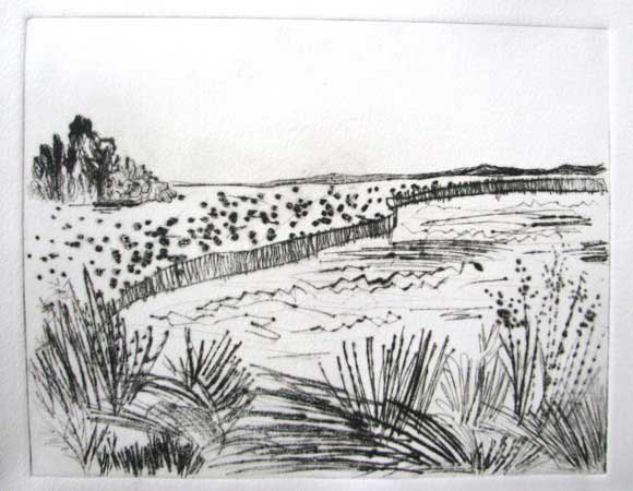 "Bodden"