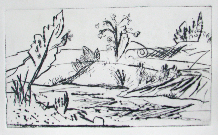 "Elbwiesen - Dresden"