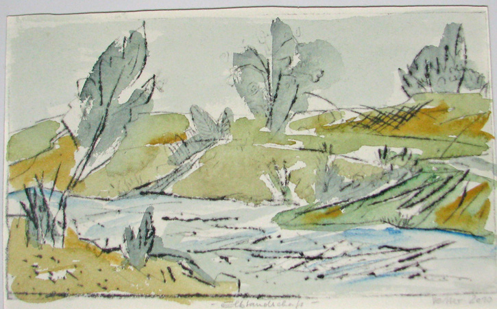 "Elbwiesen - Dresden"
