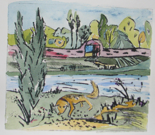 "Elbwiesen - Dresden"